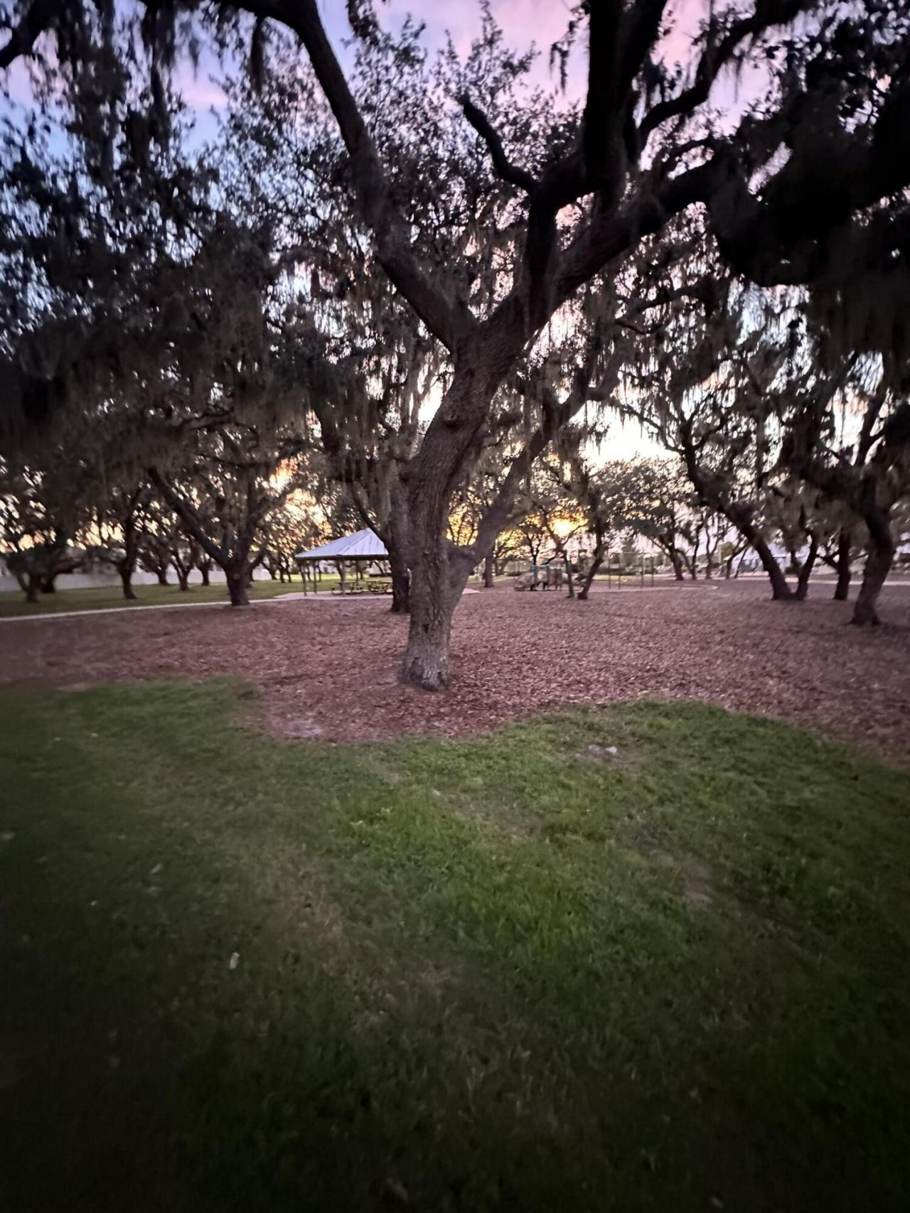 13106 Jeter Creek Drive, Riverview, FL 33579 Photo