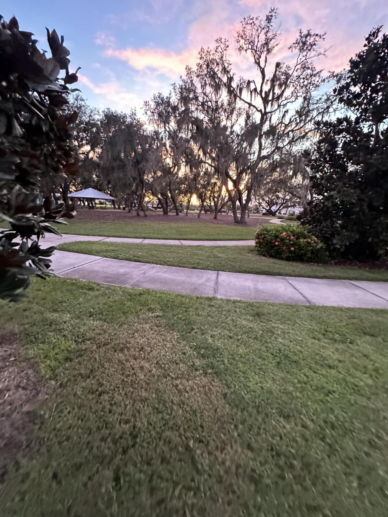 13106 Jeter Creek Drive, Riverview, FL 33579 Photo