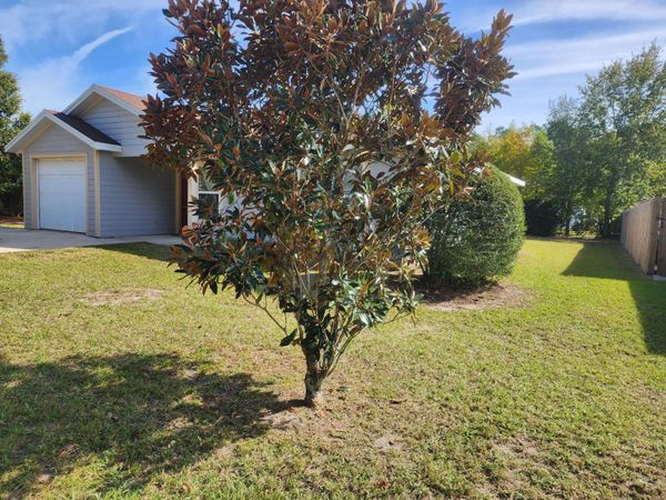 4647 NE 15 Terrace Terrace, Gainesville, FL 32609