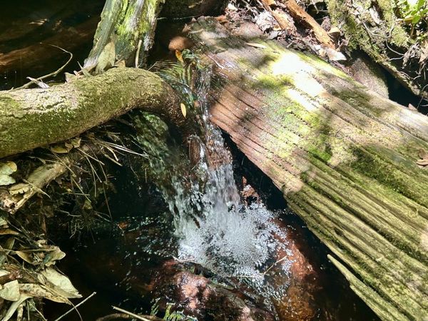 4264 Cleveland Road, Milton, FL 32570