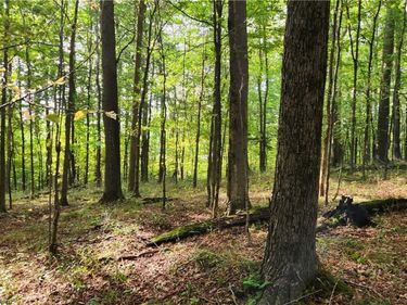 Humphrey Road, Great Valley, NY 14741