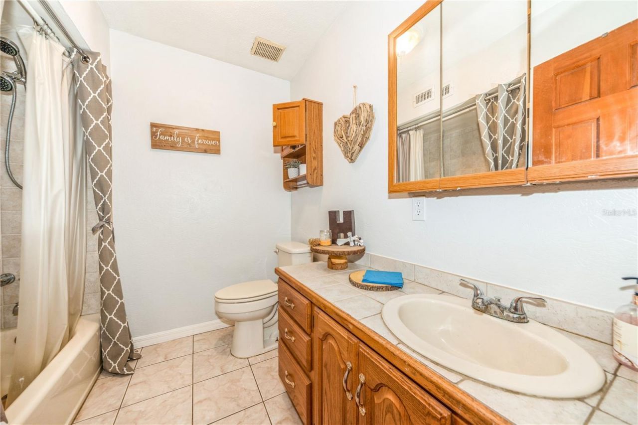 13005 Sea Critter Lane, Dover, FL 33527 Photo
