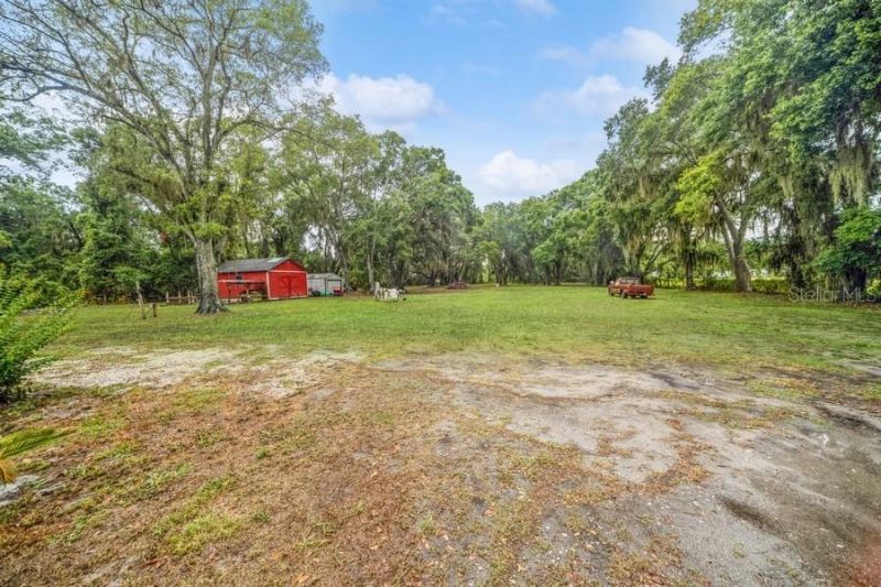 13005 Sea Critter Lane, Dover, FL 33527 Photo