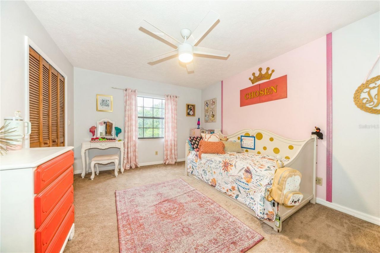 13005 Sea Critter Lane, Dover, FL 33527 Photo