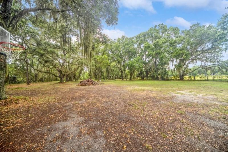13005 Sea Critter Lane, Dover, FL 33527 Photo