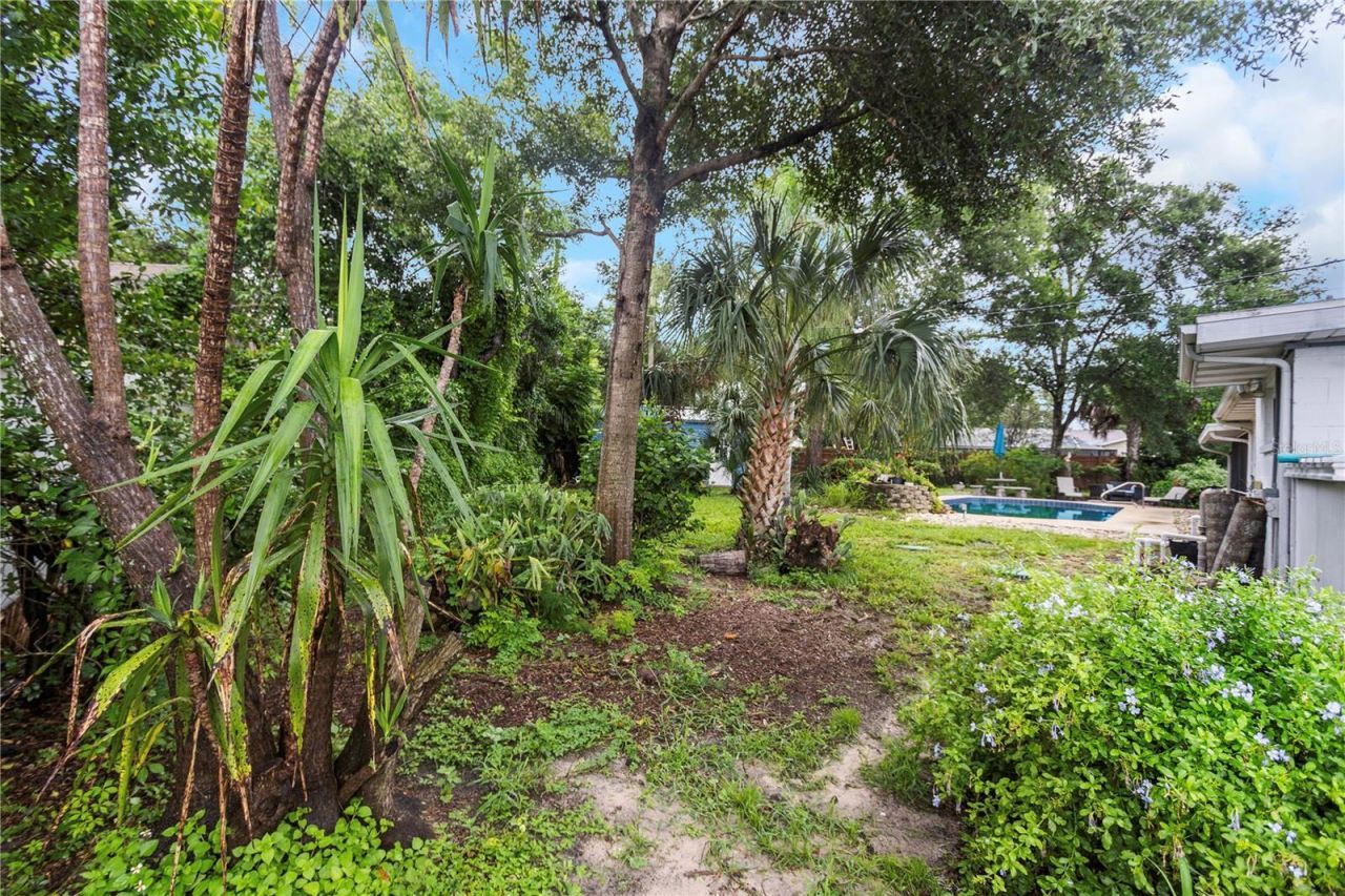 310 Terrace Drive, Brandon, FL 33510 Photo