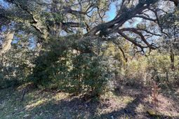 183 Pidgeon Bay Road photo 4