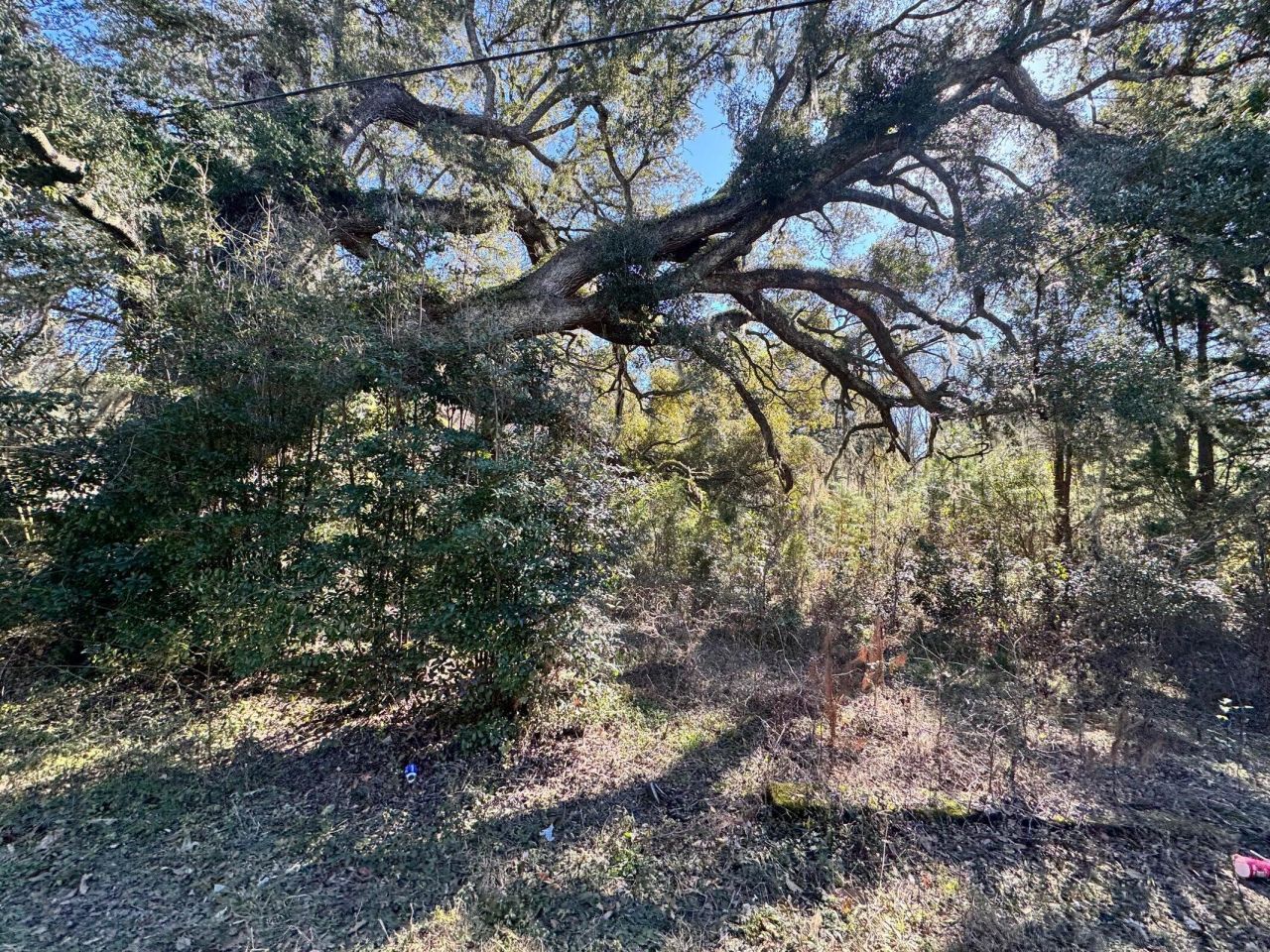 183 Pidgeon Bay Road Photo 4