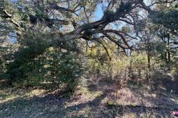 183 Pidgeon Bay Road photo 4