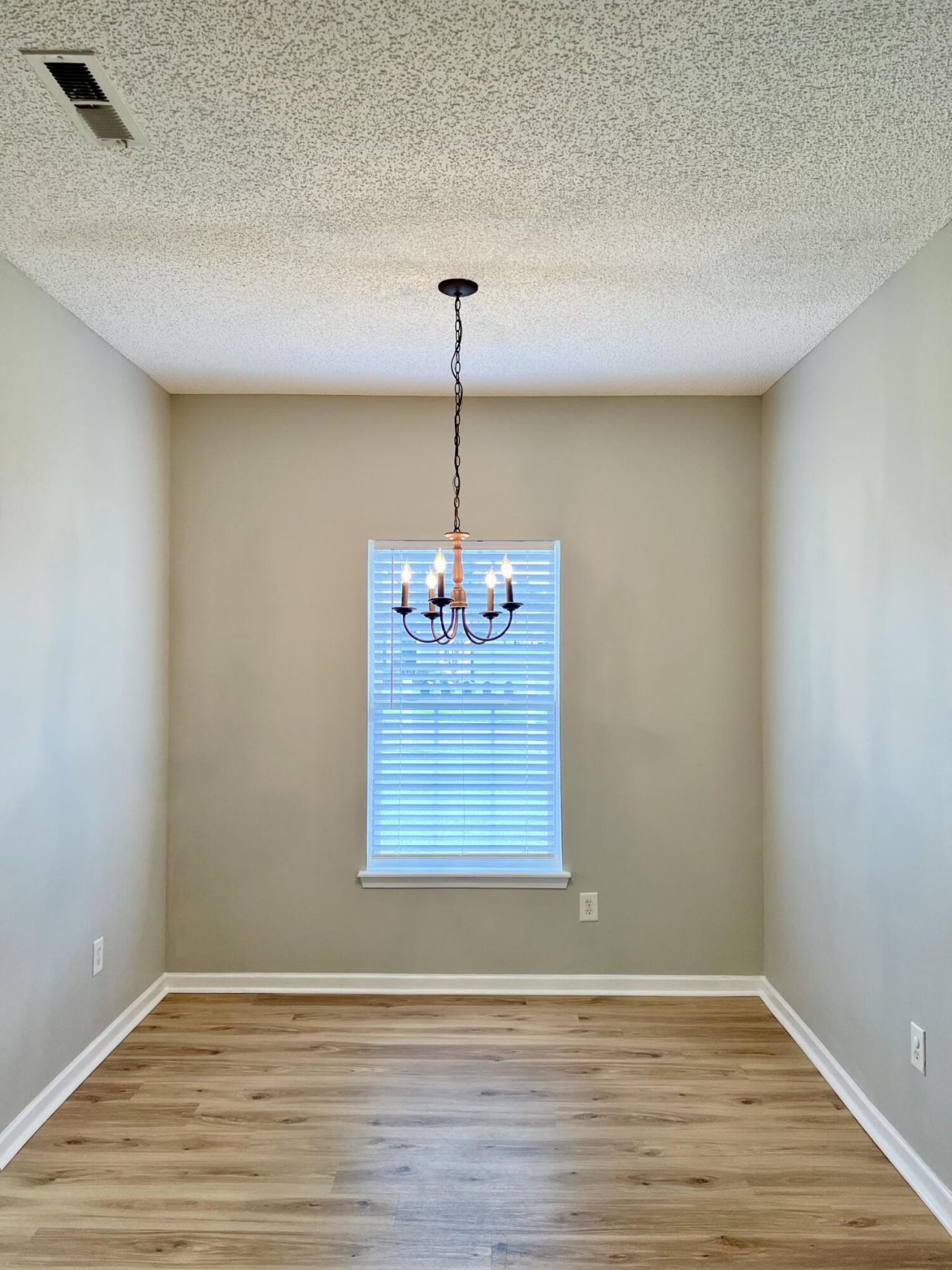 216 Congaree River Drive Photo 12