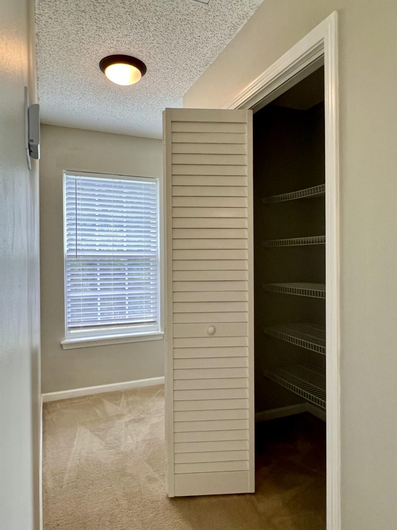 216 Congaree River Drive Photo 18