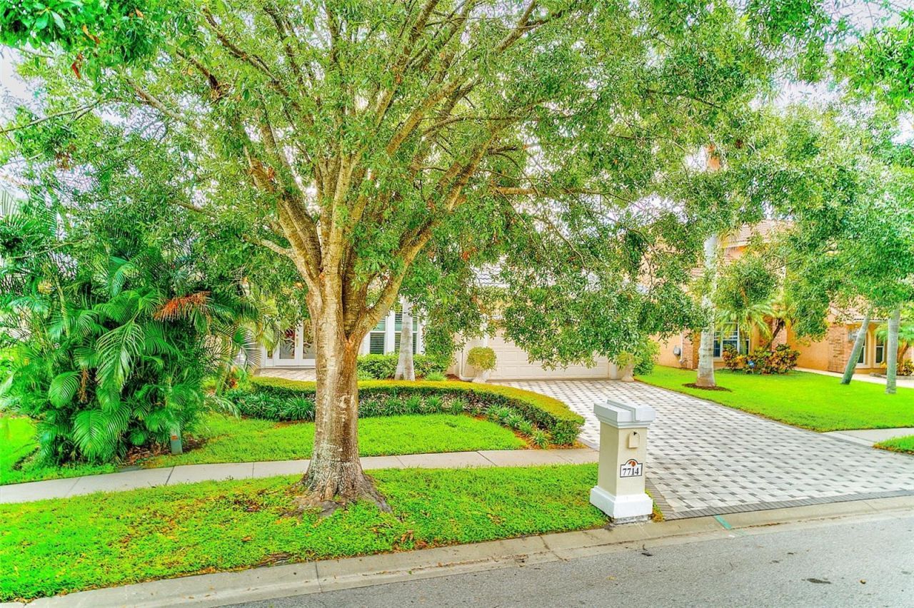 7714 Aralia Way, Seminole, FL 33777 Photo
