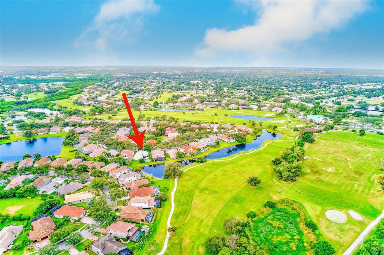 7714 Aralia Way, Seminole, FL 33777 Photo