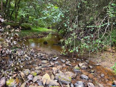 TBA OLD GREEN MOUNTAIN RD, Unit 00500, ESMONT, VA 22937