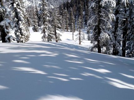 2090 Chalet Road, Unit #2, Alpine Meadows, CA 96146 Photo