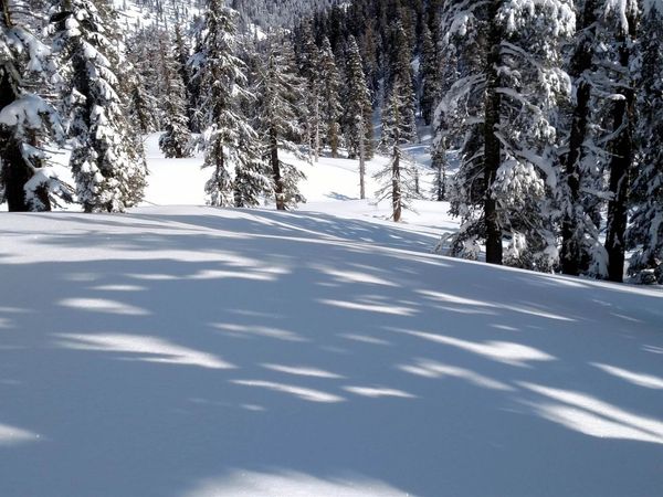 2090 Chalet Road, Unit #2, Alpine Meadows, CA 96146