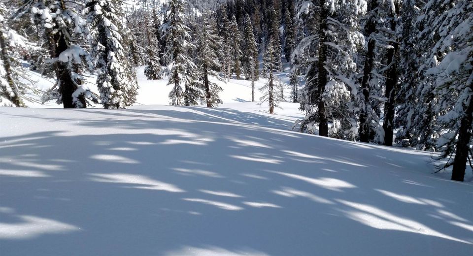 2090 Chalet Road, Unit #2, Alpine Meadows, CA 96146 Photo