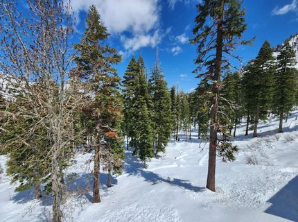 2090 Chalet Road, Alpine Meadows, CA 96146 Photo