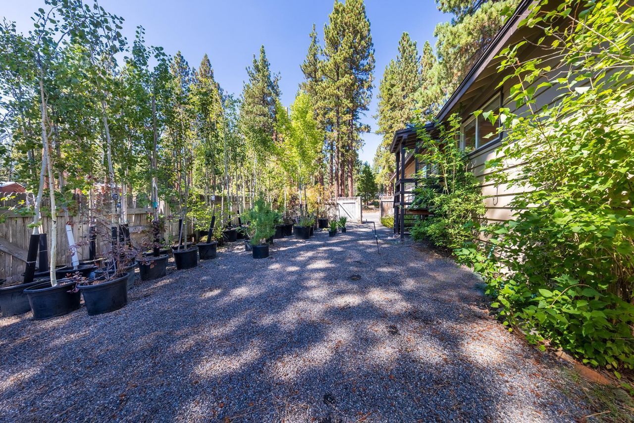 8229 Speckled Avenue, Kings Beach, CA 96143 Photo