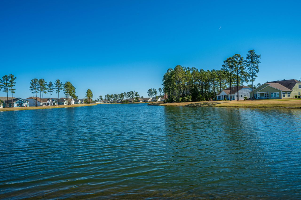 220 Tupelo Lake Drive Photo 59