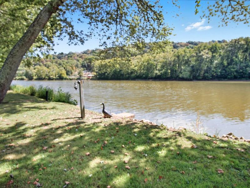 9390 Shady Lane, Blue Rock, OH 43720 Photo 47