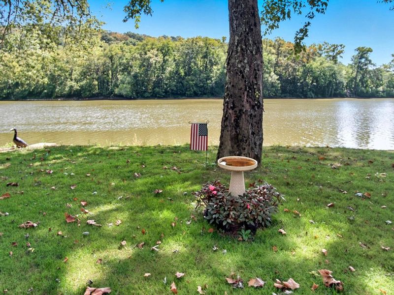 9390 Shady Lane, Blue Rock, OH 43720 Photo 7