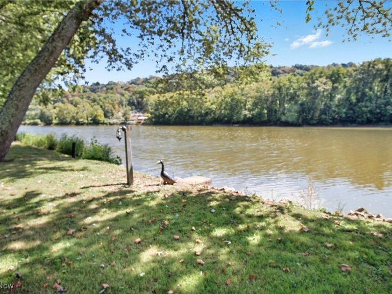 9390 Shady Lane, Blue Rock, OH 43720 Photo 47