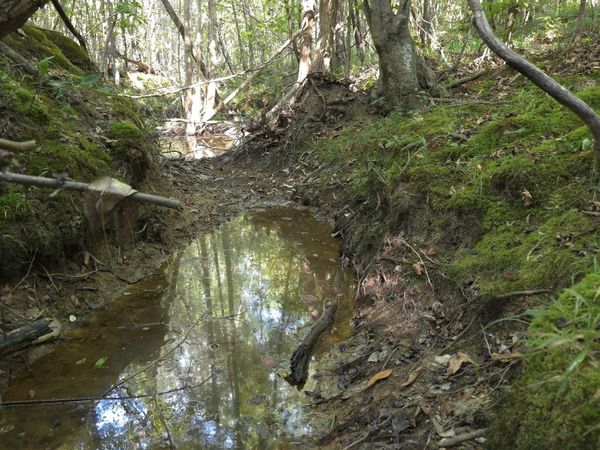 Cub Brown Road, Sontag, MS 39665