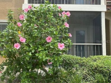 11901 4TH STREET N, Unit 5101, ST PETERSBURG, FL 33716