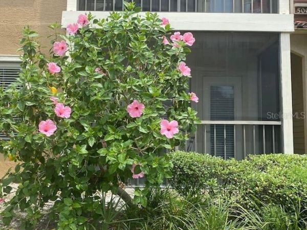 11901 4TH STREET N, Unit 5101, ST PETERSBURG, FL 33716