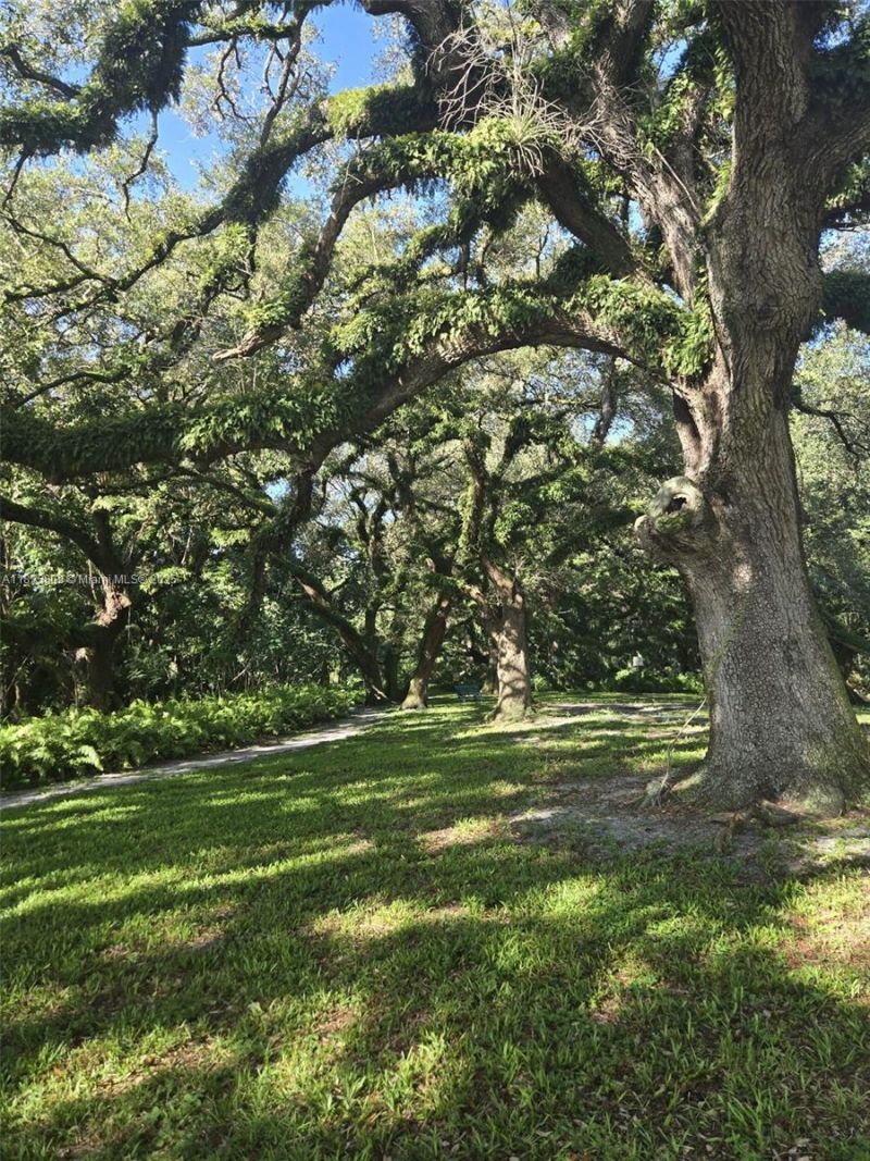 9410 Live Oak Pl, Unit 103, Davie, FL 33324 Photo