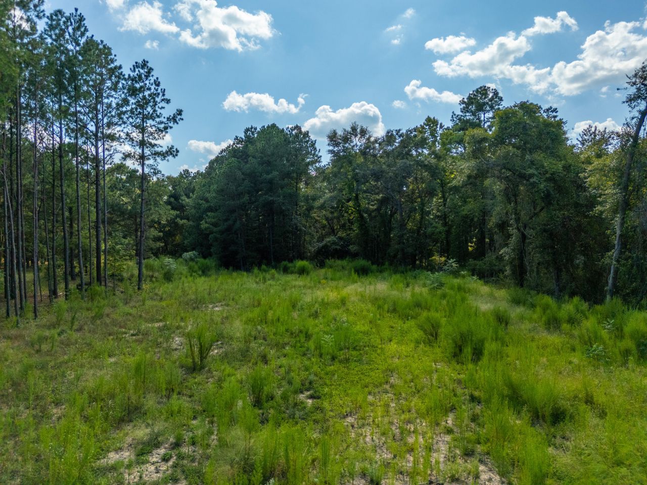 998 Old River Road Photo 11