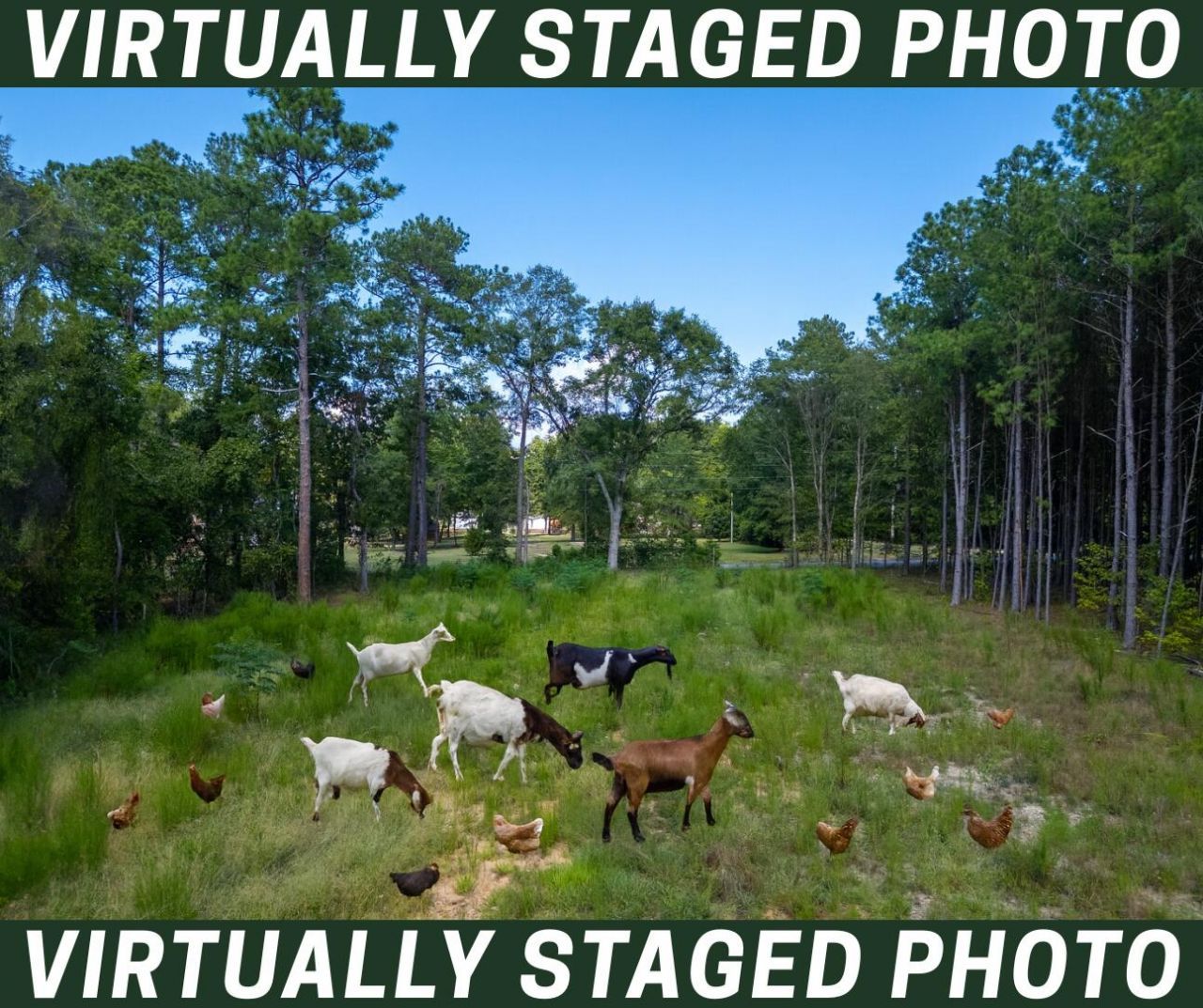 998 Old River Road Photo 16