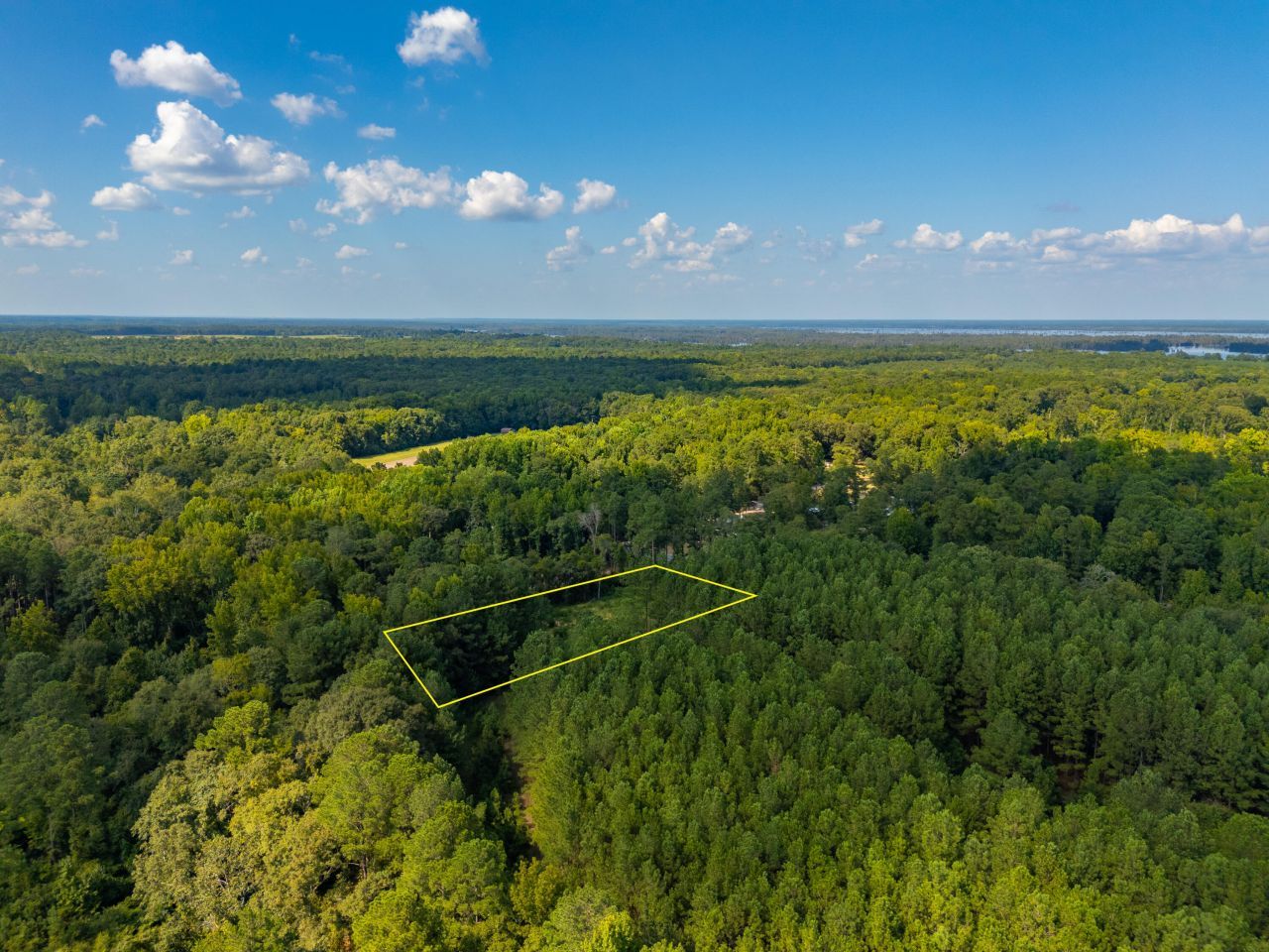 998 Old River Road Photo 6