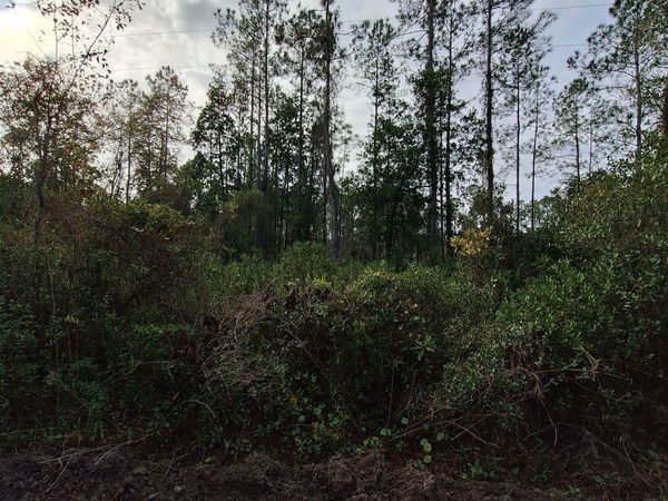 0 E ST JOHNS Street, Palatka, FL 32177