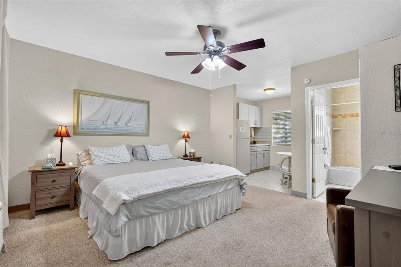 3110 Philippe Parkway, Safety Harbor, FL 34695 Photo