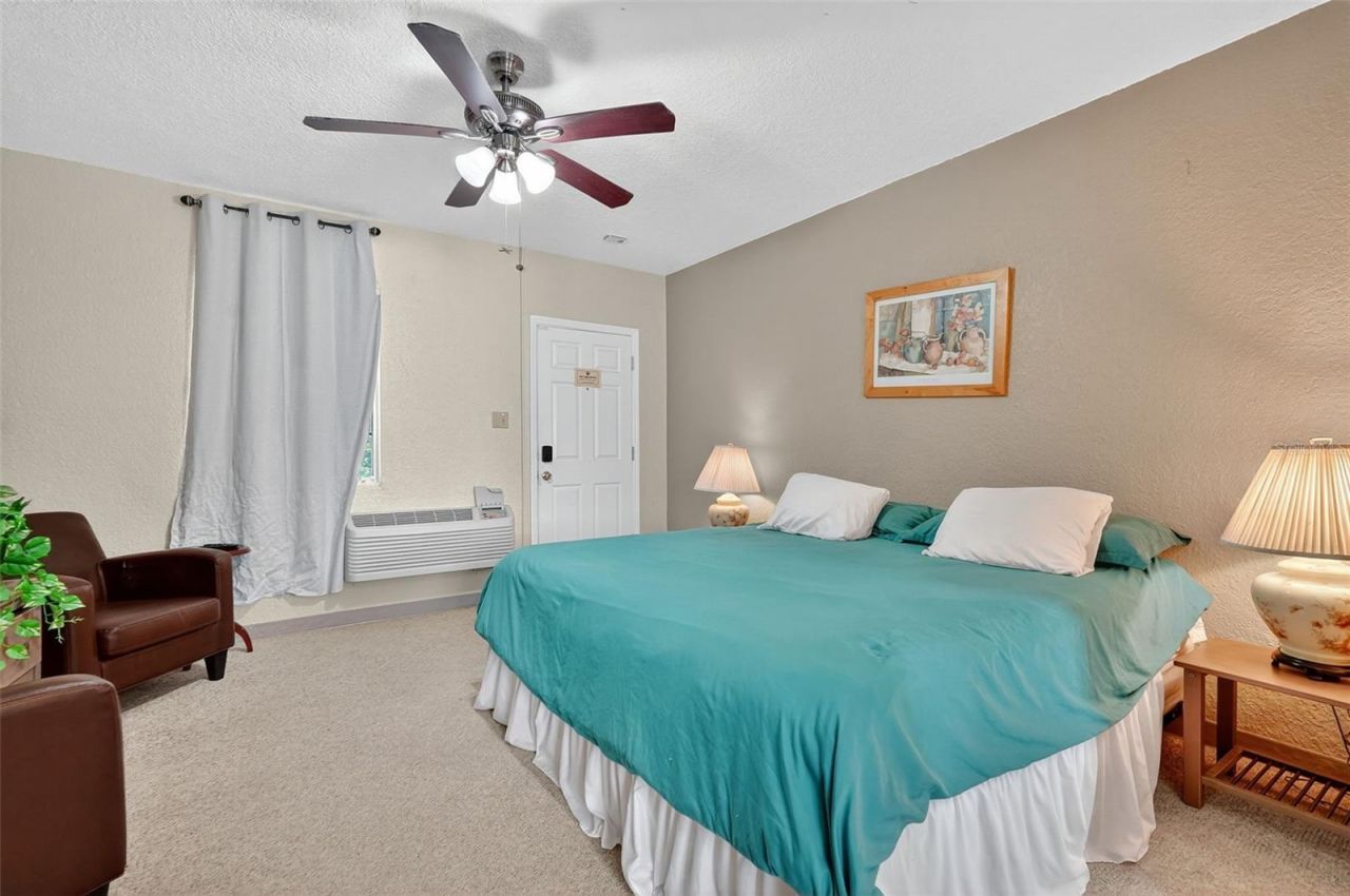 3110 Philippe Parkway, Safety Harbor, FL 34695 Photo