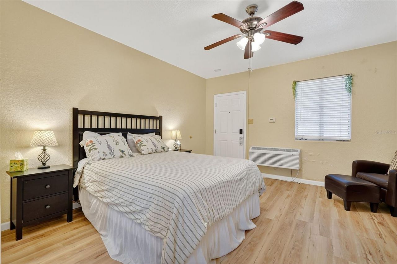 3110 Philippe Parkway, Safety Harbor, FL 34695 Photo