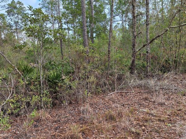 00 E ST JOHNS State Road, Palatka, FL 32177