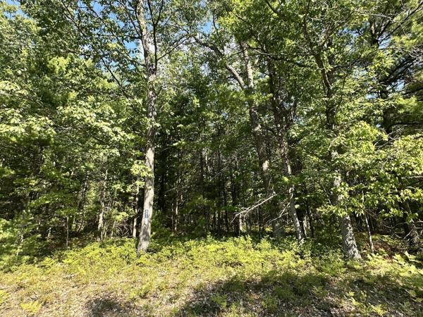 V/L 0.77AC Fantasy Drive, Frederic, MI 49733