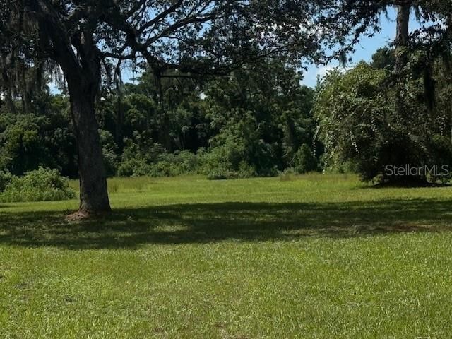 8826 Trevarthon Road, Orlando, FL 32817 Photo