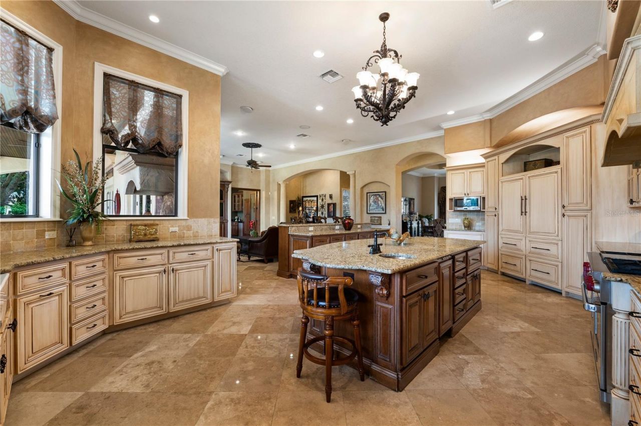 17201 Breeders Cup Drive, Odessa, FL 33556 Photo