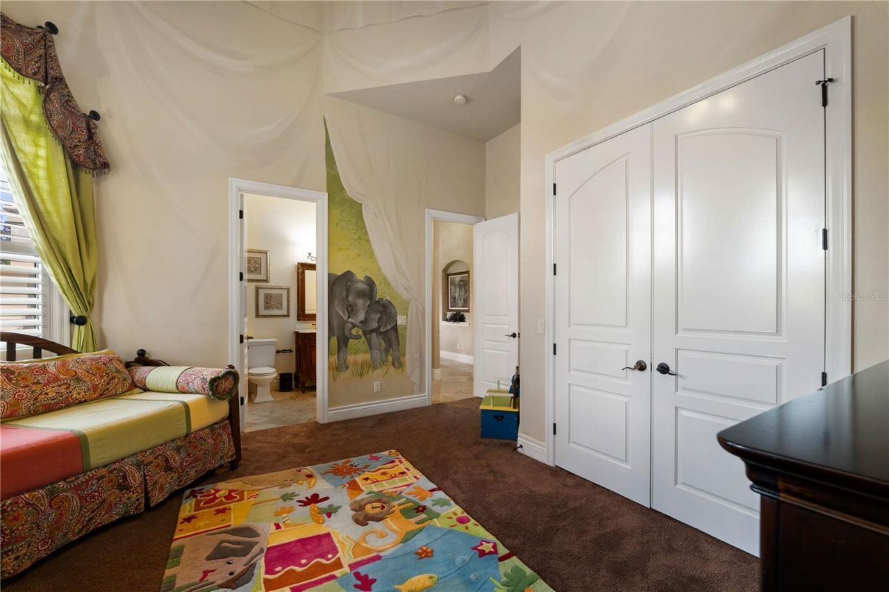 17201 Breeders Cup Drive, Odessa, FL 33556 Photo