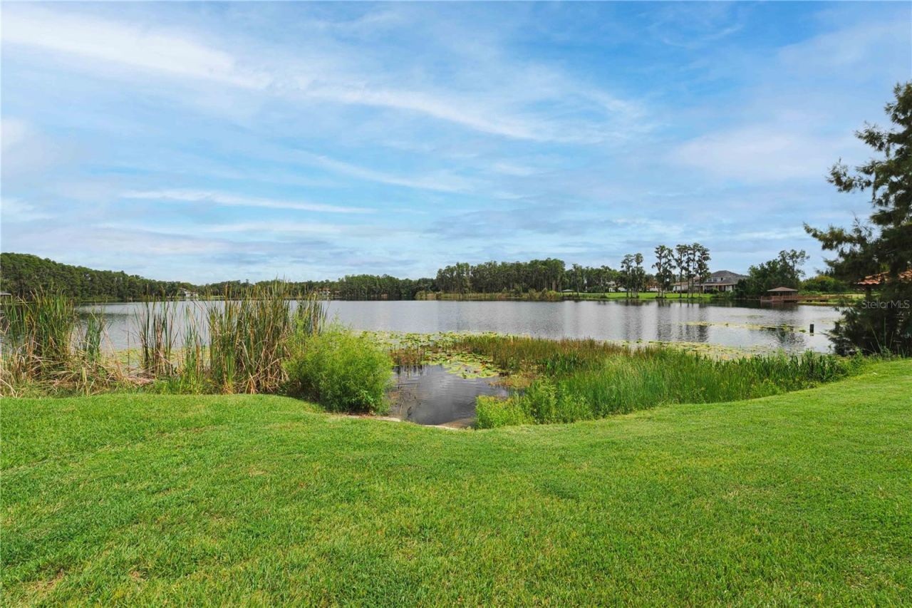 17201 Breeders Cup Drive, Odessa, FL 33556 Photo