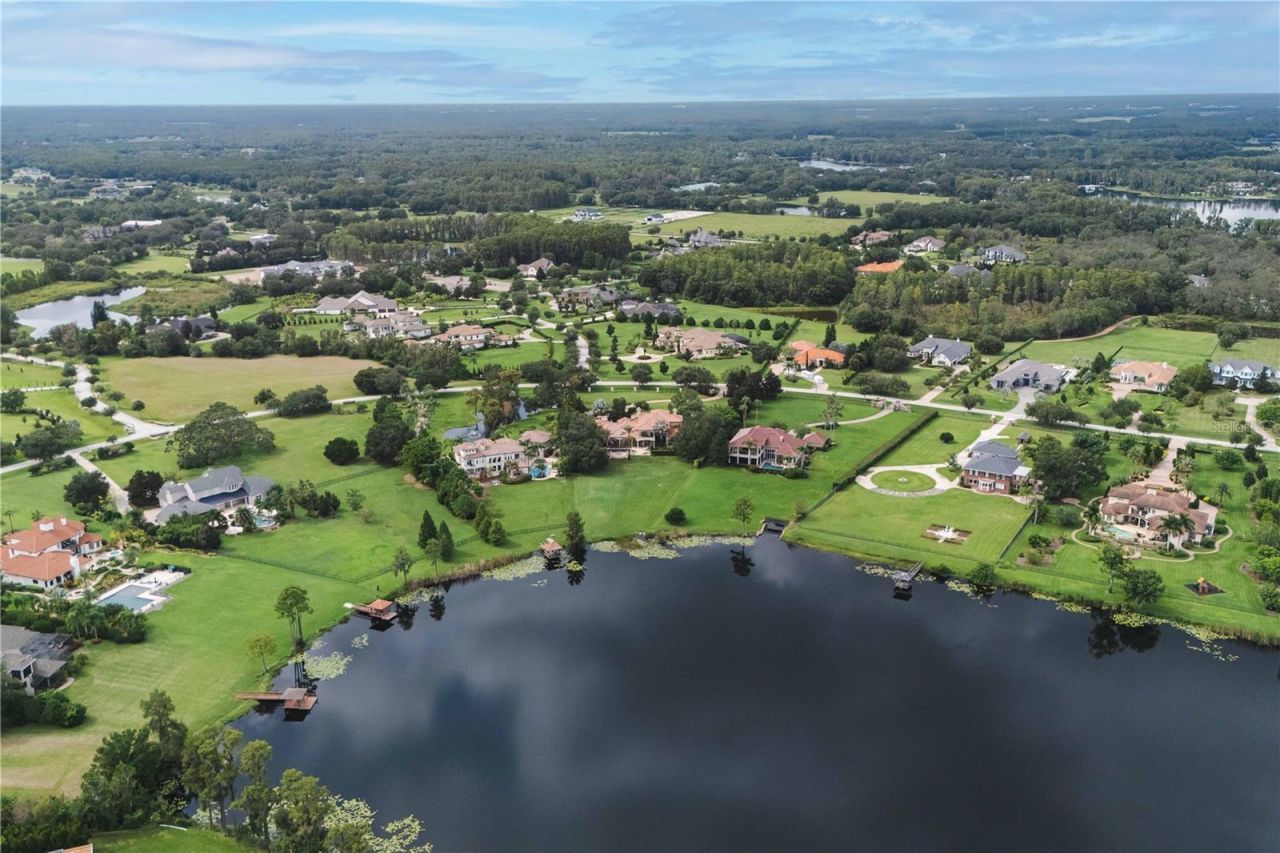 17201 Breeders Cup Drive, Odessa, FL 33556 Photo