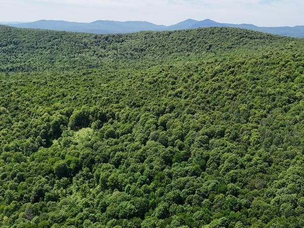 955 Hall Road, Lunenburg, VT 05906