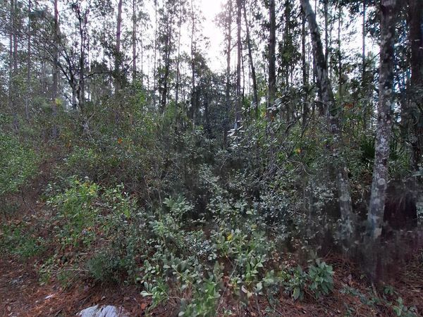 000 E ST JOHNS Street, Palatka, FL 32177