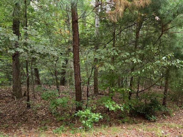 Lot 40 Kings Court, MONTROSS, VA 22520