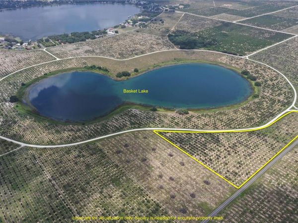 3113 POWER LINE ROAD, AVON PARK, FL 33825