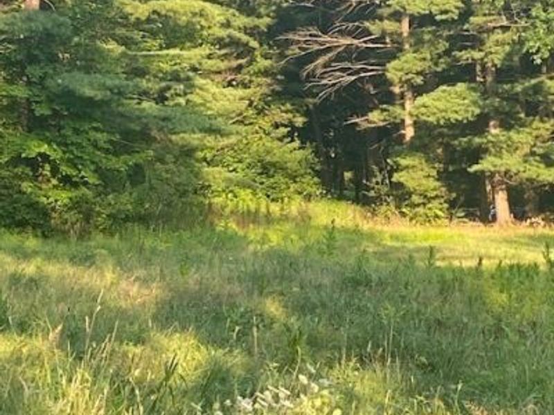 11065 Chillicothe Road, Kirtland, OH 44094 Photo 13